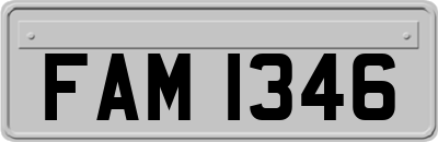 FAM1346