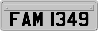 FAM1349