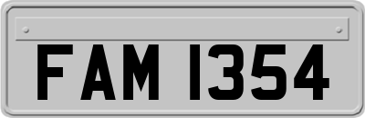 FAM1354