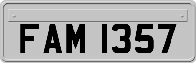 FAM1357