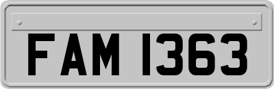 FAM1363
