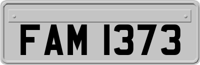FAM1373