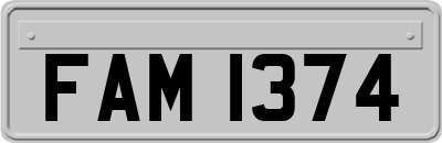 FAM1374