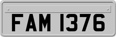 FAM1376