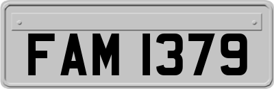 FAM1379