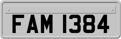 FAM1384