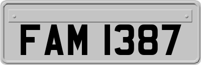 FAM1387