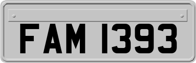 FAM1393