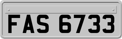FAS6733