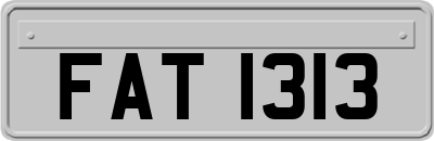FAT1313