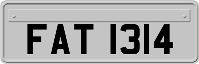 FAT1314