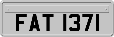 FAT1371