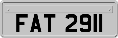 FAT2911