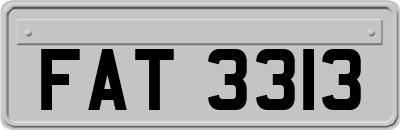 FAT3313