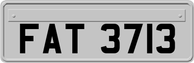 FAT3713