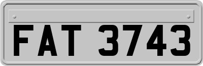FAT3743