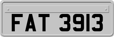 FAT3913