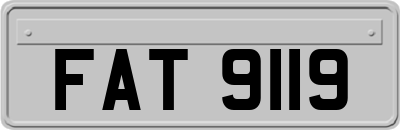 FAT9119