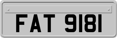 FAT9181