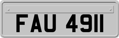 FAU4911