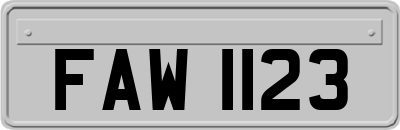FAW1123