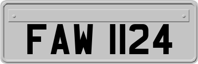 FAW1124