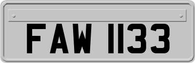 FAW1133