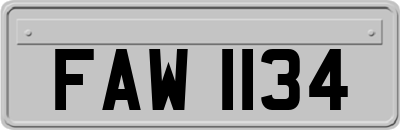 FAW1134