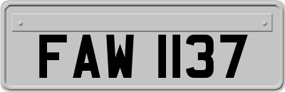 FAW1137