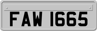 FAW1665