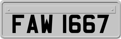 FAW1667