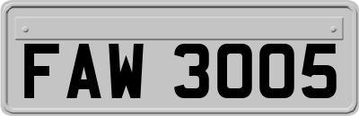 FAW3005
