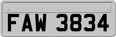 FAW3834