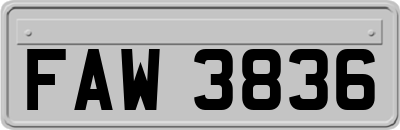 FAW3836