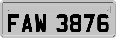 FAW3876