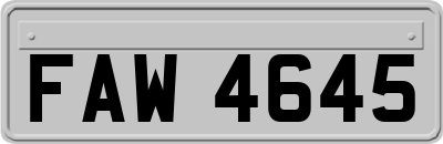 FAW4645
