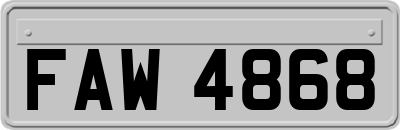 FAW4868