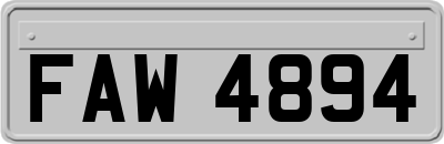 FAW4894