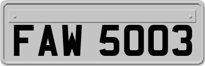 FAW5003