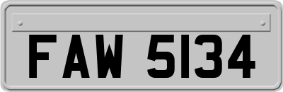 FAW5134