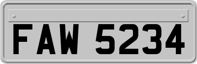 FAW5234