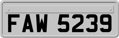 FAW5239