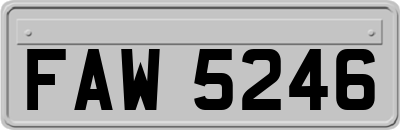 FAW5246