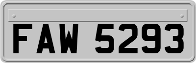 FAW5293