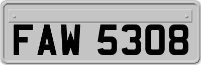 FAW5308