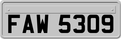 FAW5309