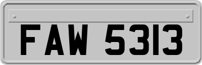 FAW5313