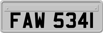 FAW5341
