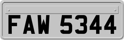 FAW5344