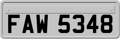 FAW5348